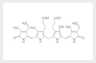 Un test rapido per determinare la bilirubina